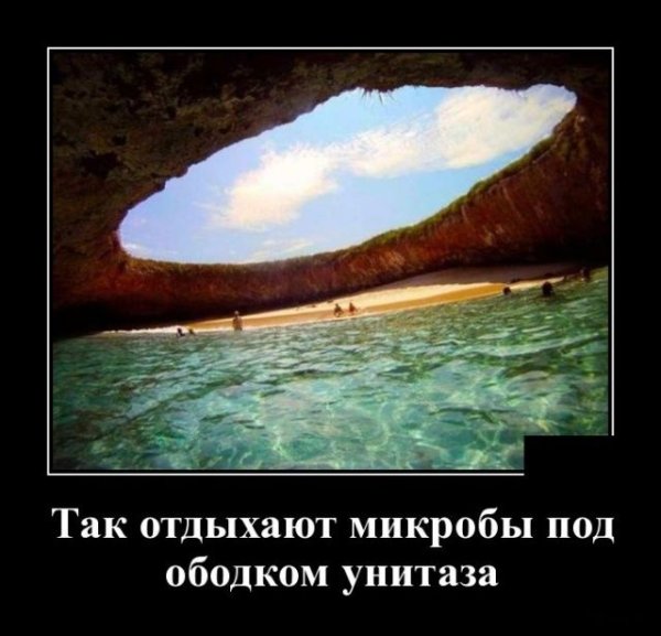 Приколы про лето