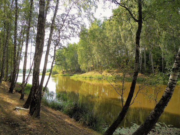 Рязанская Губерния природа