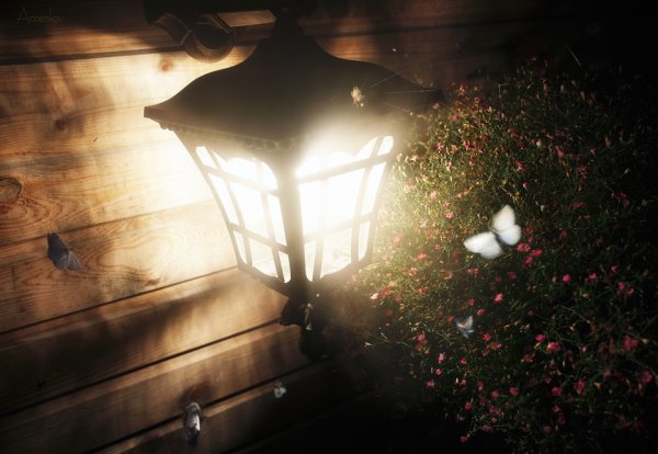 Фонарик в ночи