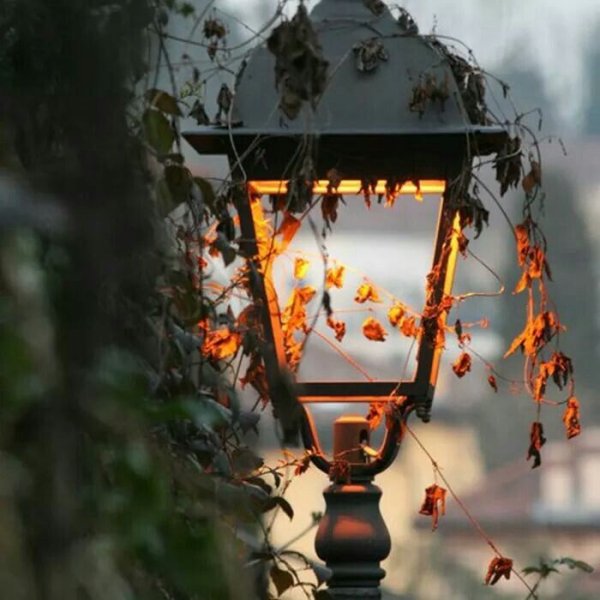 Уличные фонари в парке