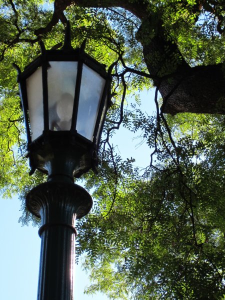 Фонарик в ночи