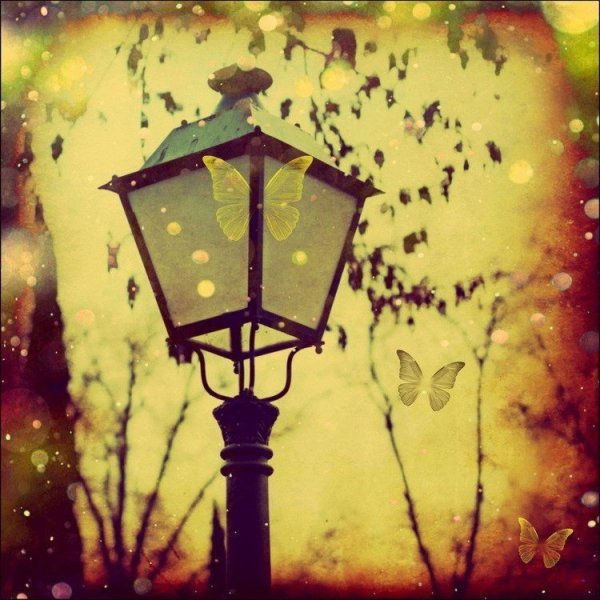 Фонарь на улице