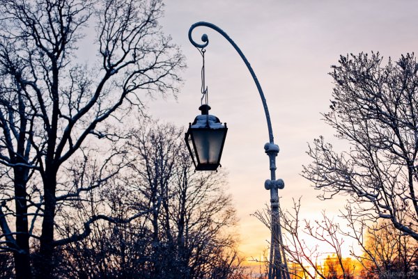 Аллея на красной улице Краснодар