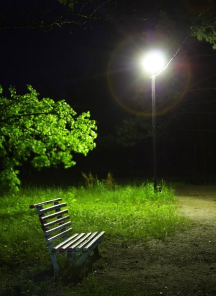 Ночной парк в Москве