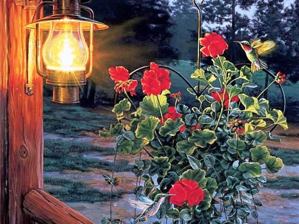 Майкоп ночной парк