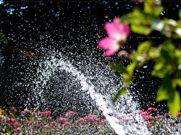 Брызги фонтана