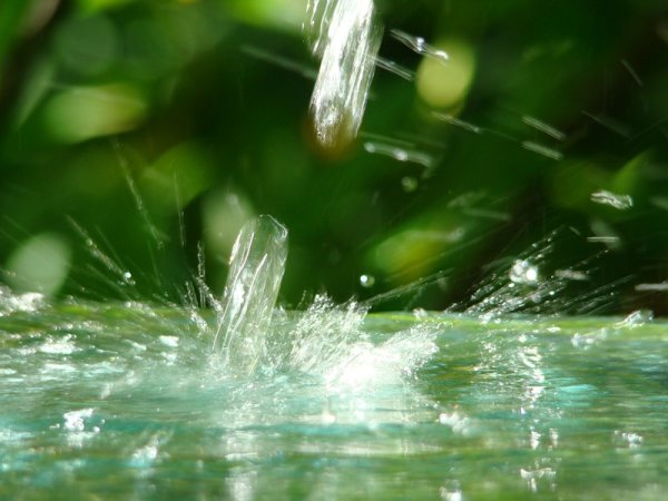 Брызги лета фото