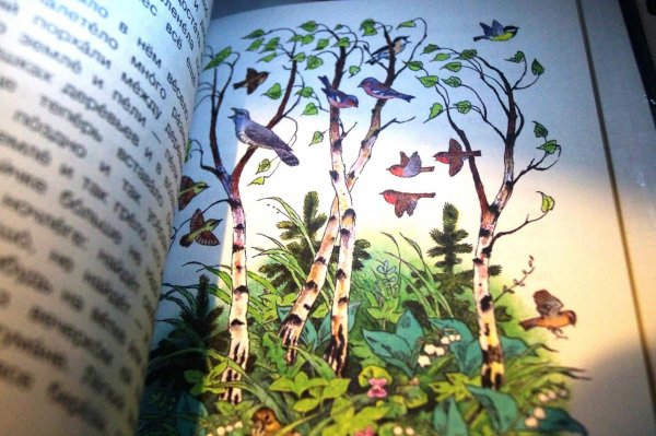 Синичкин календарь мультфильм