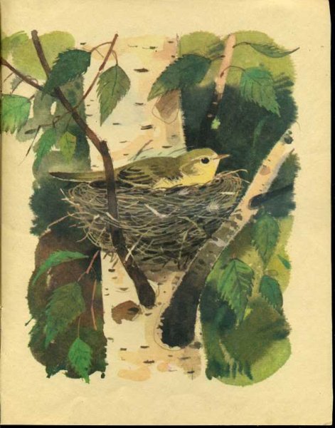 Виталий Бианки Подкидыш