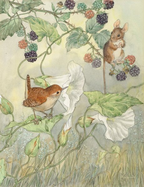 Молли Бретт иллюстрации