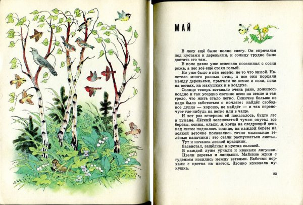 Иллюстрации май Бианки