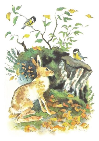 Бианки Синичкин календарь ноябрь