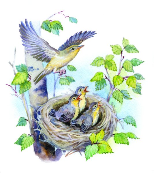 Виталий Бианки Подкидыш