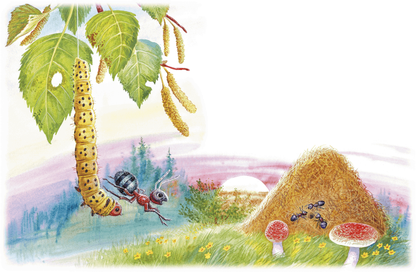 Приключение муравья Бианки