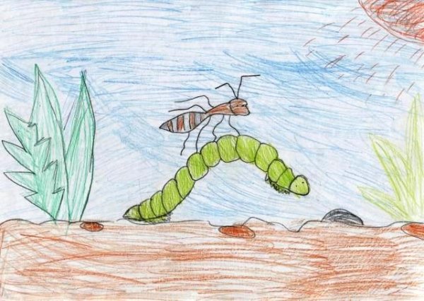 Бианки в. в. "приключения муравьишки"