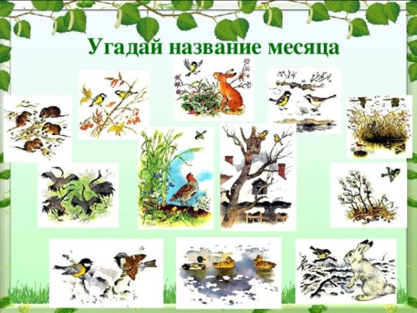 Синичкин календарь иллюстрации