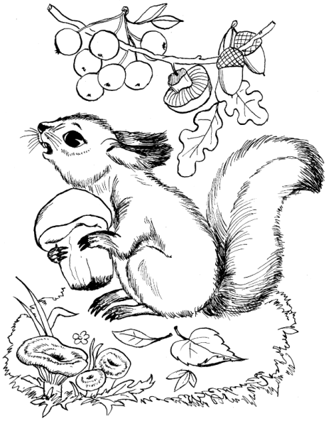 Раскраска "Лесные жители"