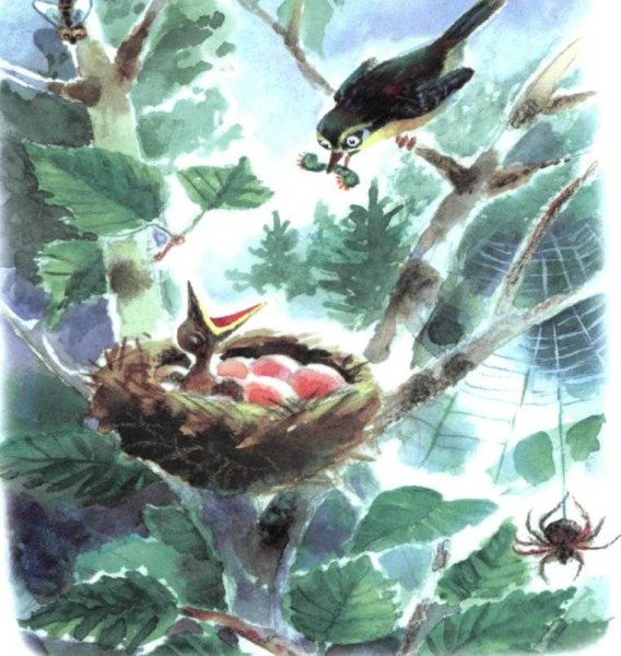 Бианки в. "Лесные домишки"