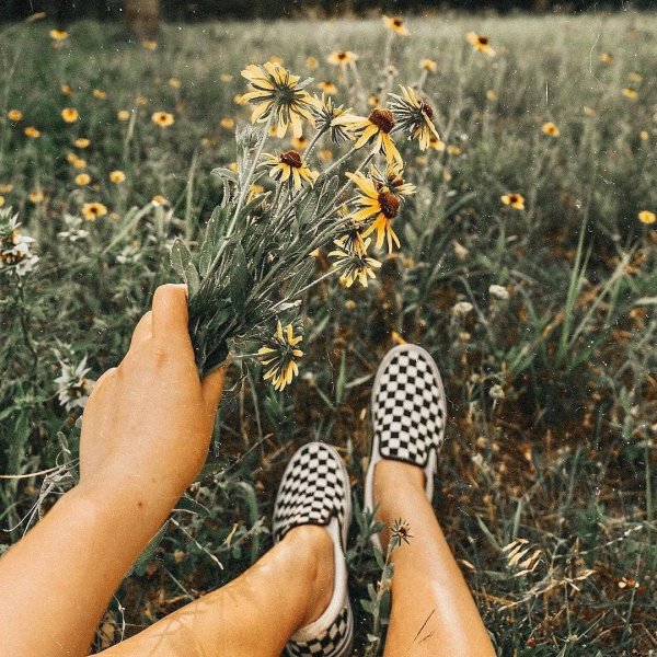 Vsco Эстетика