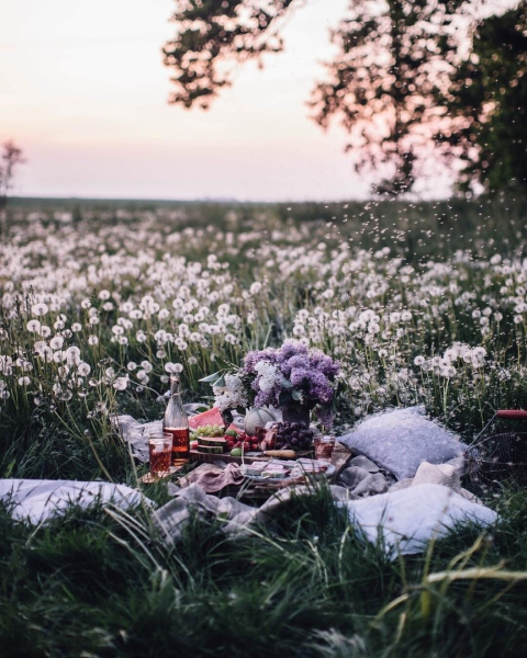 Пикник Эстетика на природе