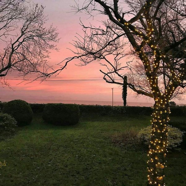 Летом в поле