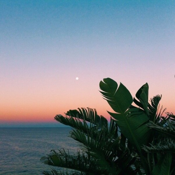 Лето Эстетика