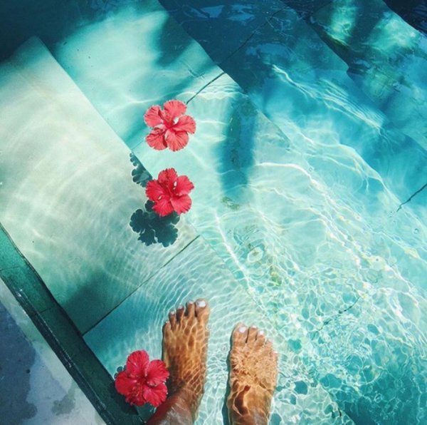 Летняя Эстетика ромашки