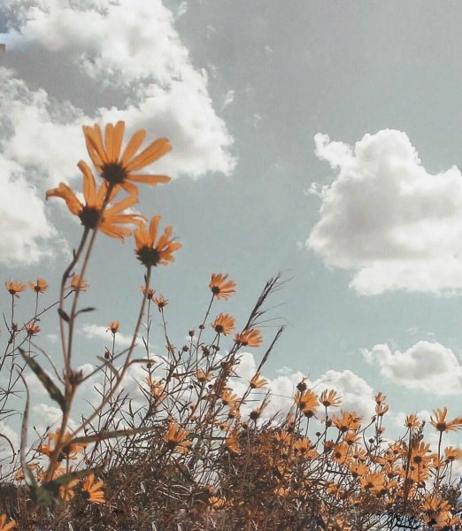 Эстетика лета