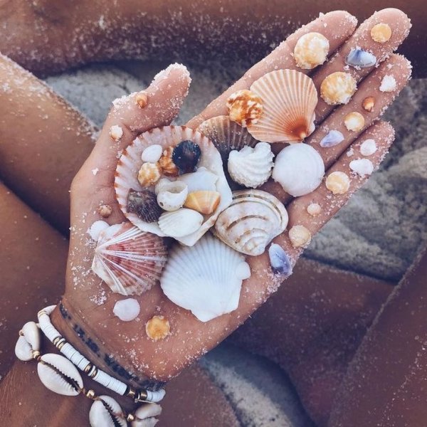 Эстетика природы