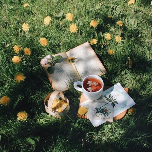 Настроение море