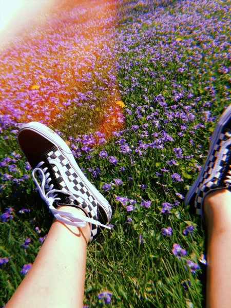 Пикник на пляже