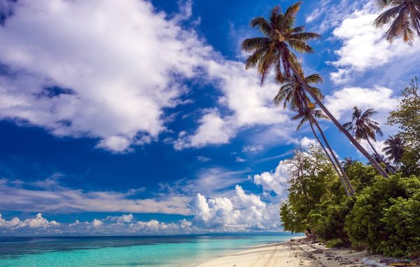 Красивый пляж