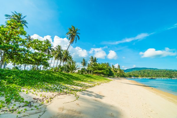 Тропическое море