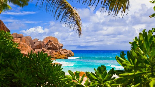 Пляж с пальмами