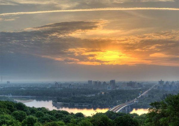 Сирень панорама