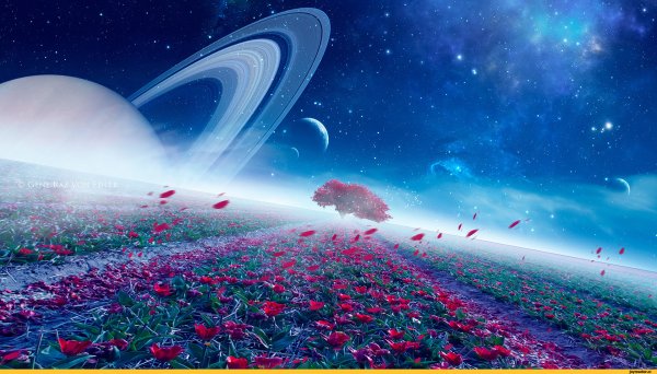 Яркая Планета