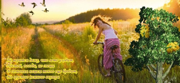 Пара гуляет на природе