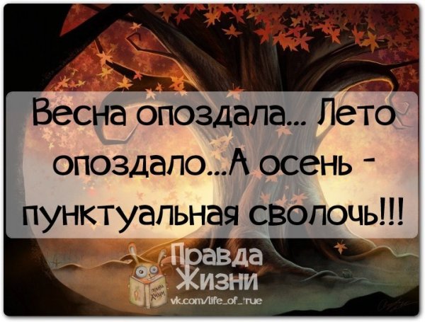 Правда жизни про осень
