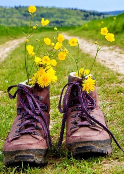 Лето наступило