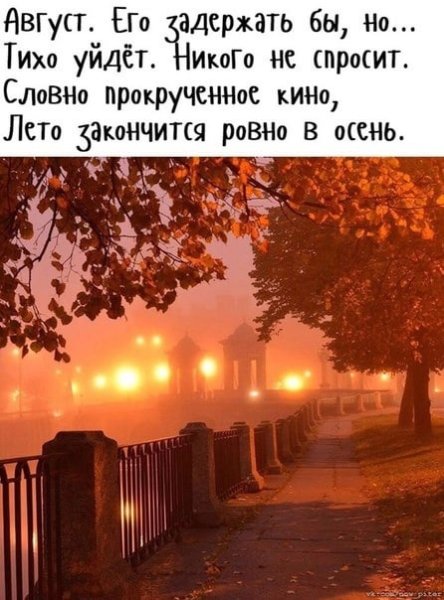 Летний вечер в городе