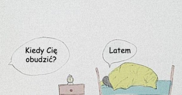 Когда тебя разбудить летом