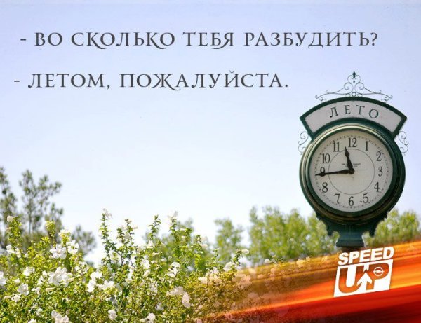 Не будить до лета