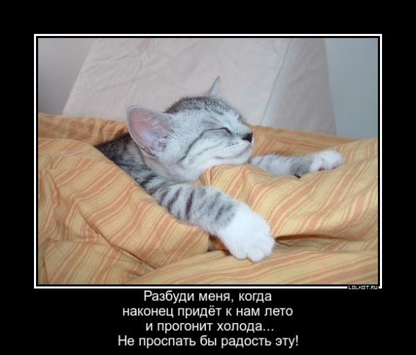 Разбудите меня весной