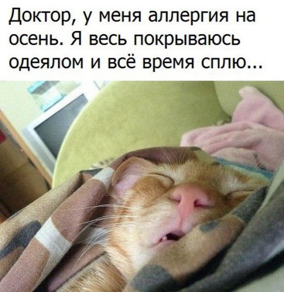 Не будить не кантовать при пожаре выносить первым