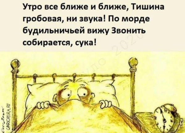 Пора просыпаться