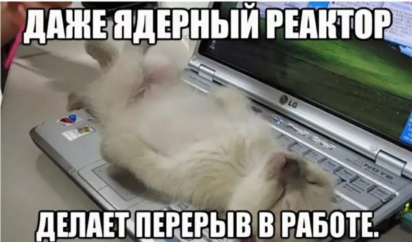 Сквидвард из Спанч Боба на могиле