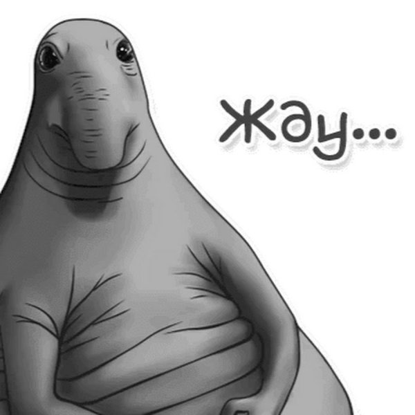 Ждун с надписью