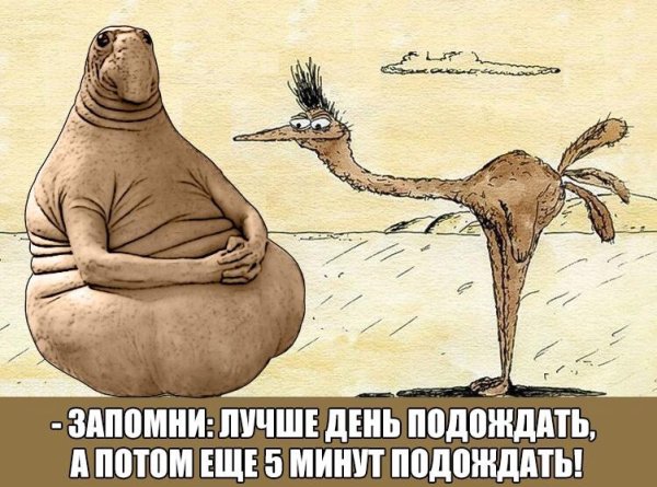 Ждун смешной