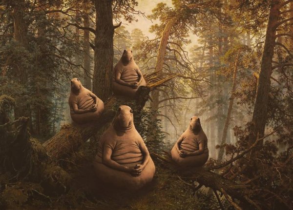 Ждун картины