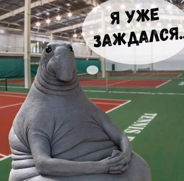 Веселый Ждун